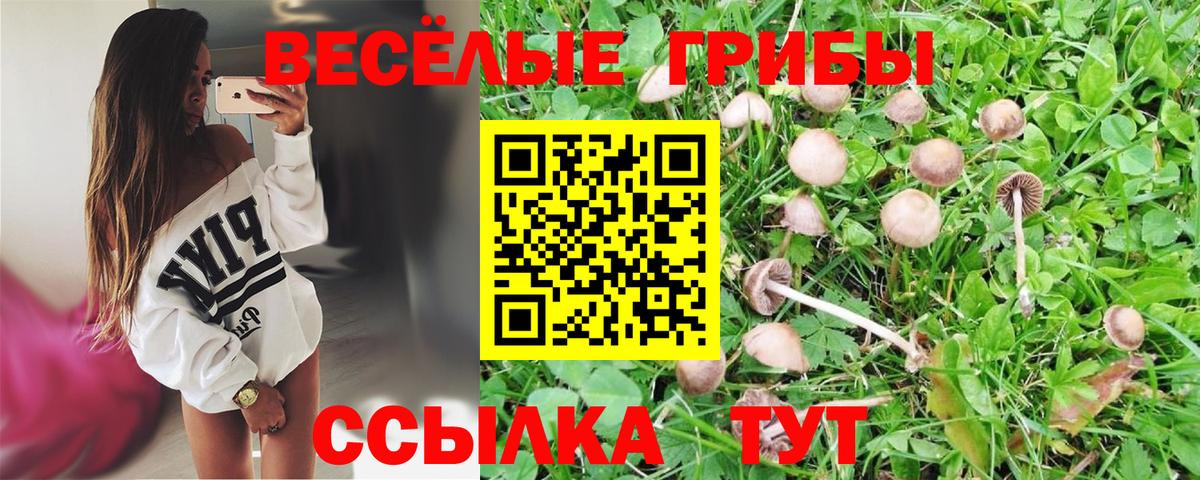 Псилоцибиновые грибы ЛСД Советск