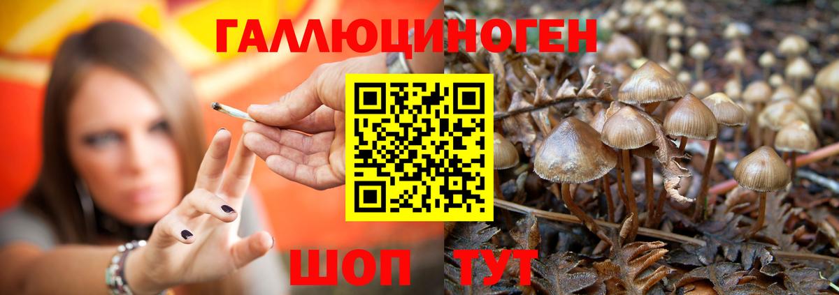 Советск  Галлюциногенные грибы мицелий  Галлюциногенные грибы Cubensis  Вход с VPN 